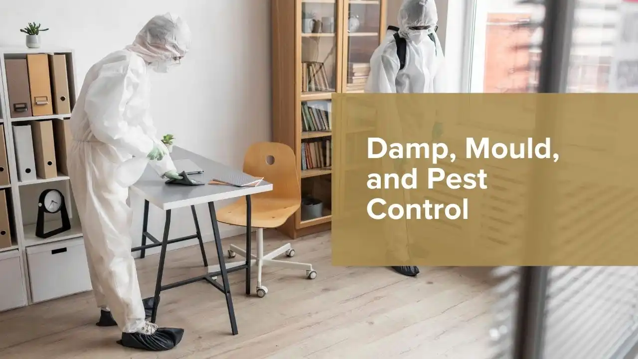 Landlord Inspecting Damp, Mould and Pest Infestation in UK Rental Property