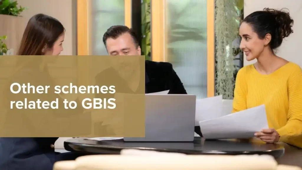 Other schemes related to GBIS