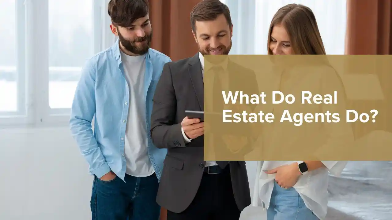 They help the clients in buying, selling or renting a property with proper step-by-step guidance
